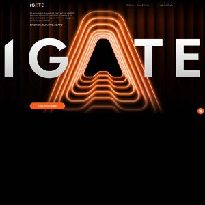 **iGate.com: A New Contender in the Digital Marketplace**