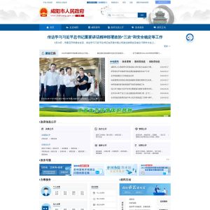 ### Xiangyang Government Website: A Digital Gateway for Local Governance