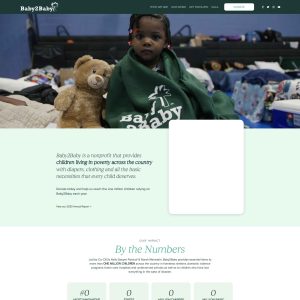 **Baby2Baby: Bridging Gaps for Families in Need**