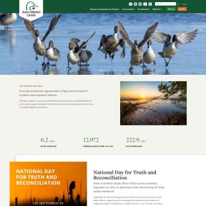 **Ducks.ca Pioneers Online Marketplace for Duck Enthusiasts**