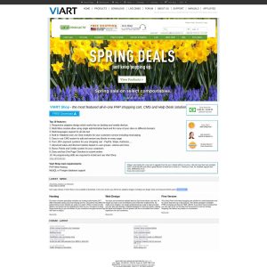 **Viart.com: A Rising Star in E-Commerce Solutions**